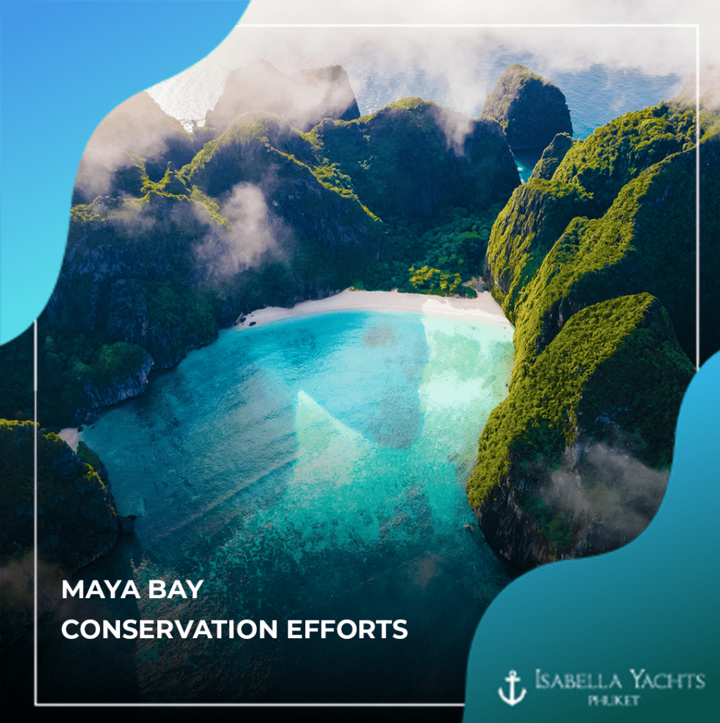 Maya Bay: A Comeback Story for Thailand’s Iconic Hidden Beach